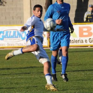 di_spigna