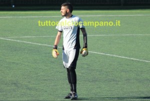 alcolino
