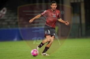 bovo