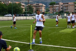 de matteo