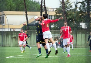 cardito virtus liburia