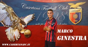 ginestra