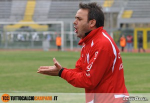 vincenzo criscuolo