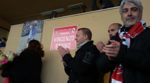 Turris tribuna Strino
